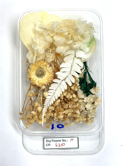 Dry Flower - Design - 10