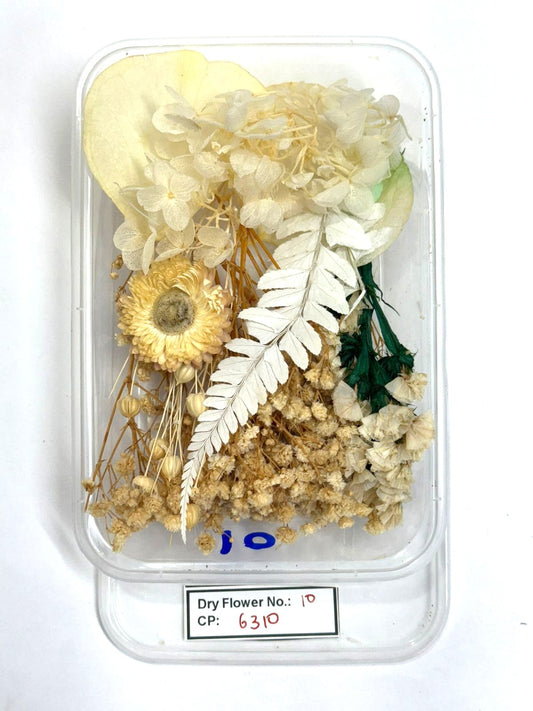 Dry Flower - Design - 10