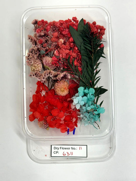 Dry Flower - Design - 11