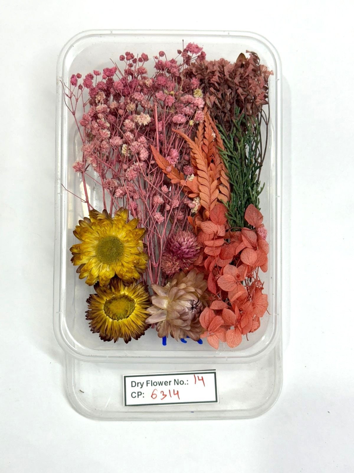 Dry Flower - Design - 14