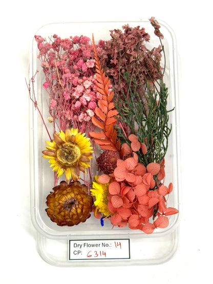 Dry Flower - Design - 14