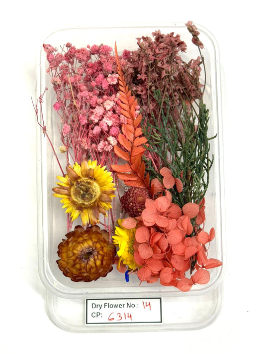 Dry Flower - Design - 14