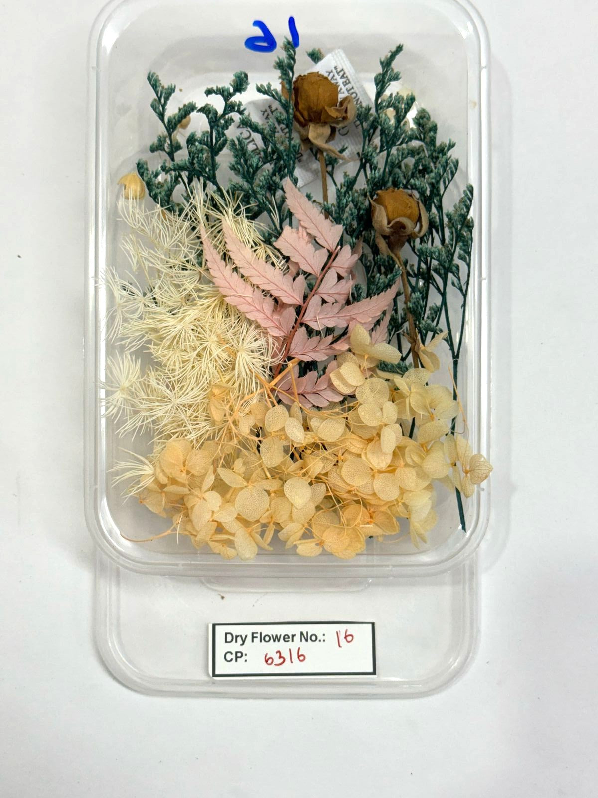 Dry Flower - Design - 16