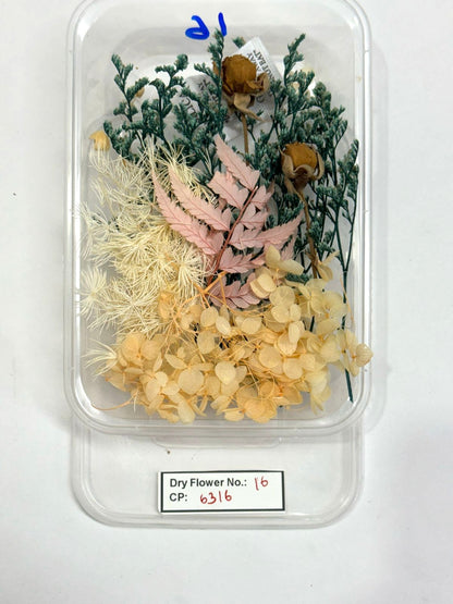 Dry Flower - Design - 16