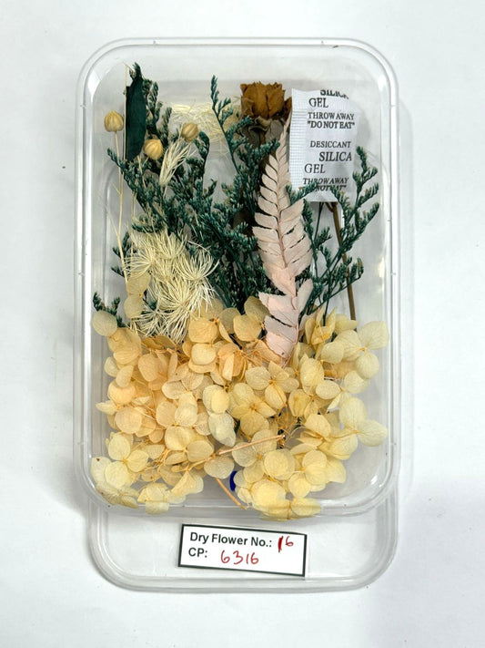 Dry Flower - Design - 16