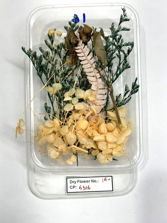 Dry Flower - Design - 16