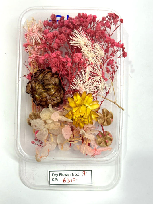 Dry Flower - Design - 17