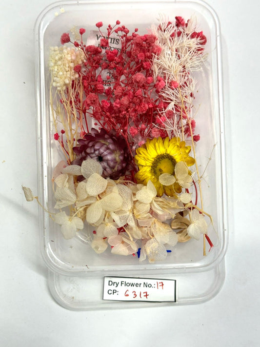 Dry Flower - Design - 17