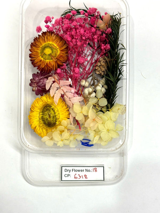 Dry Flower - Design - 18
