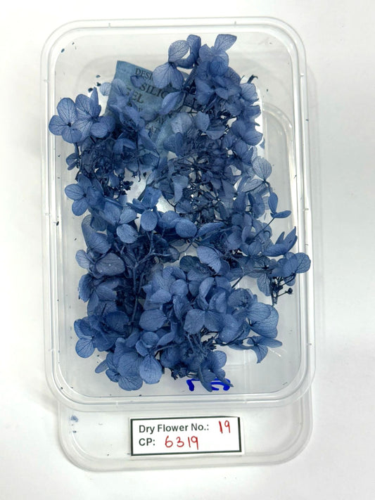 Dry Flower - Design - 19
