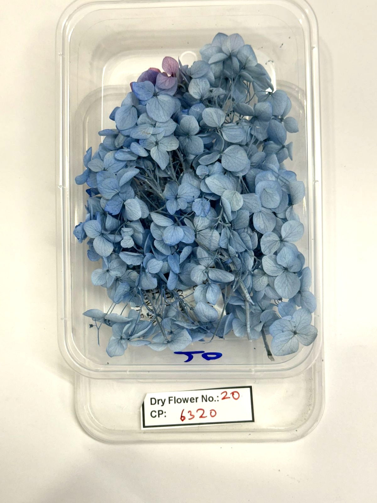 Dry Flower - Design - 20
