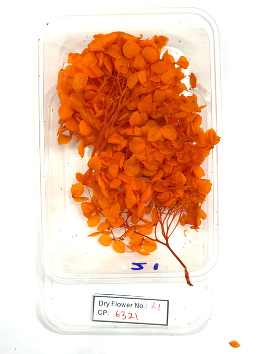 Dry Flower - Design - 21
