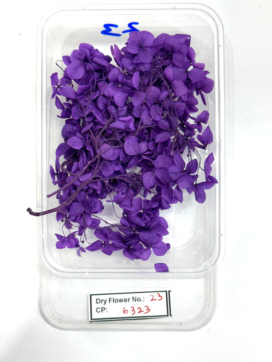 Dry Flower - Design - 23