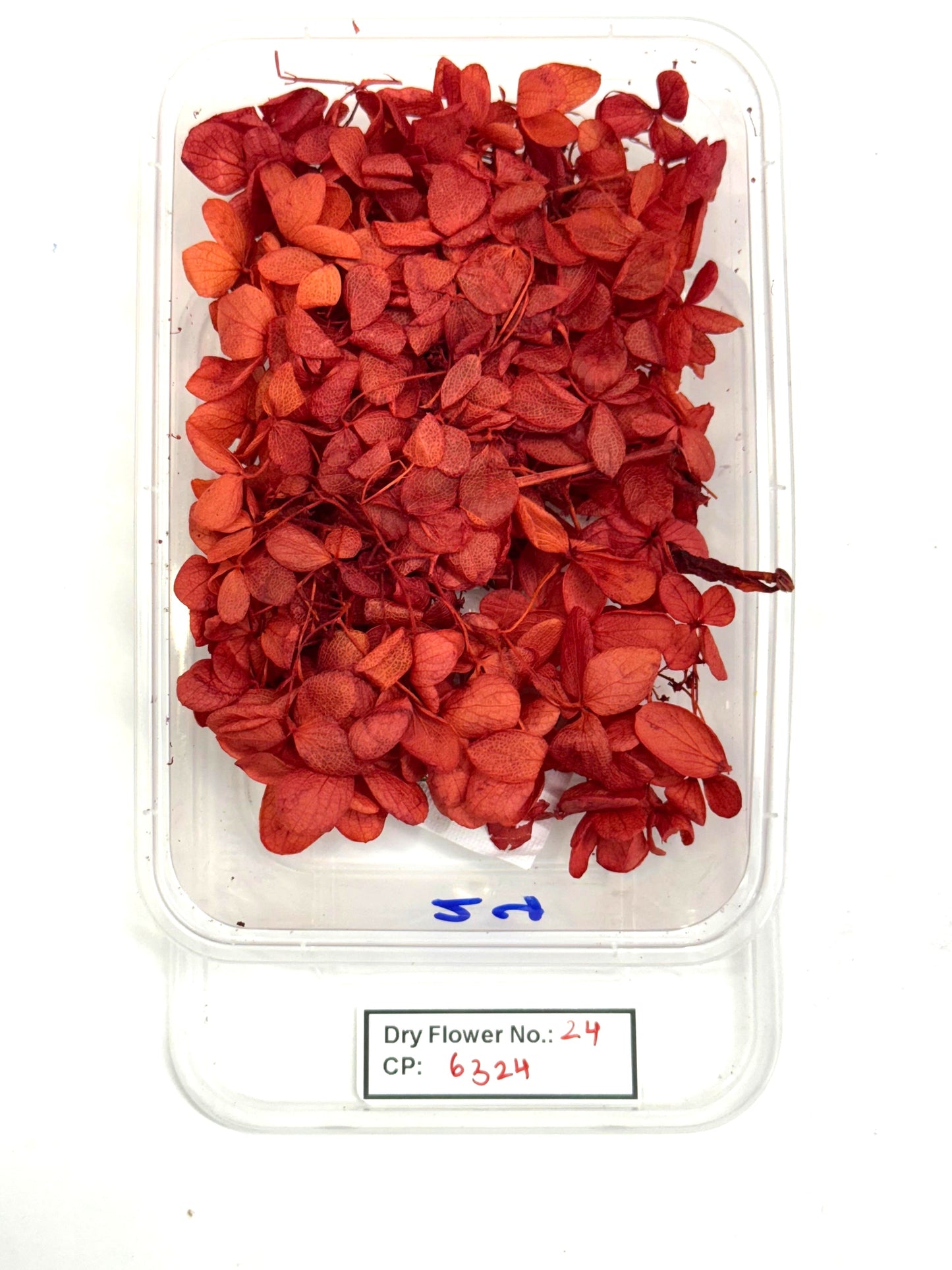 Dry Flower - Design - 24