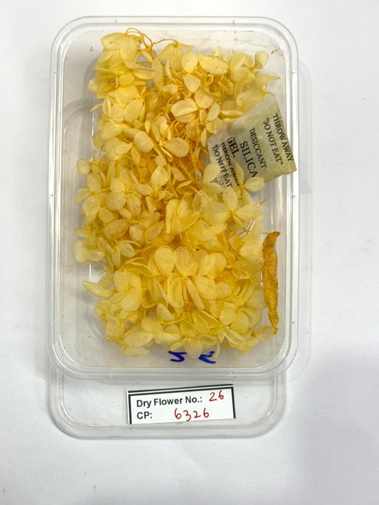 Dry Flower - Design - 26