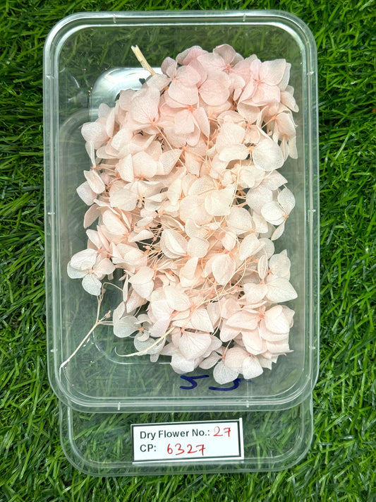 Dry Flower - Design - 27