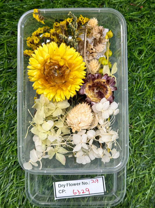 Dry Flower - Design - 29