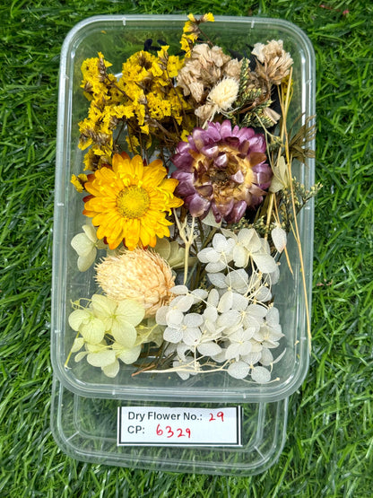 Dry Flower - Design - 29
