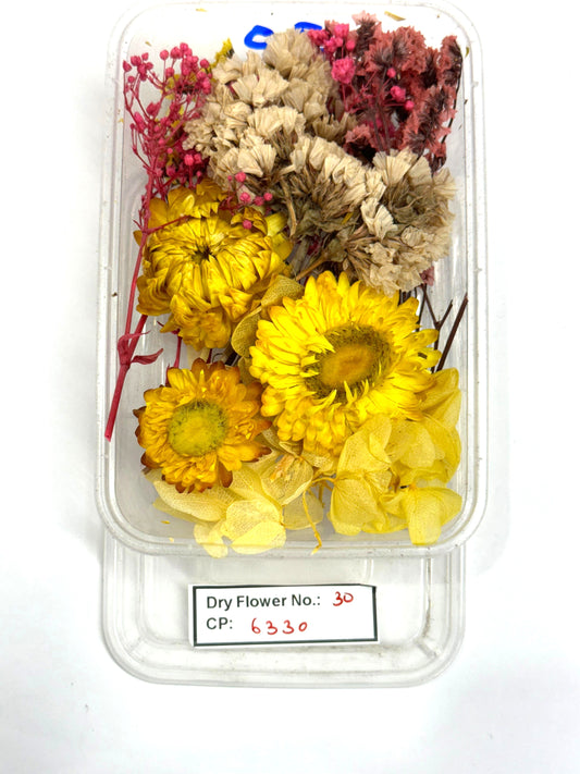 Dry Flower - Design - 30