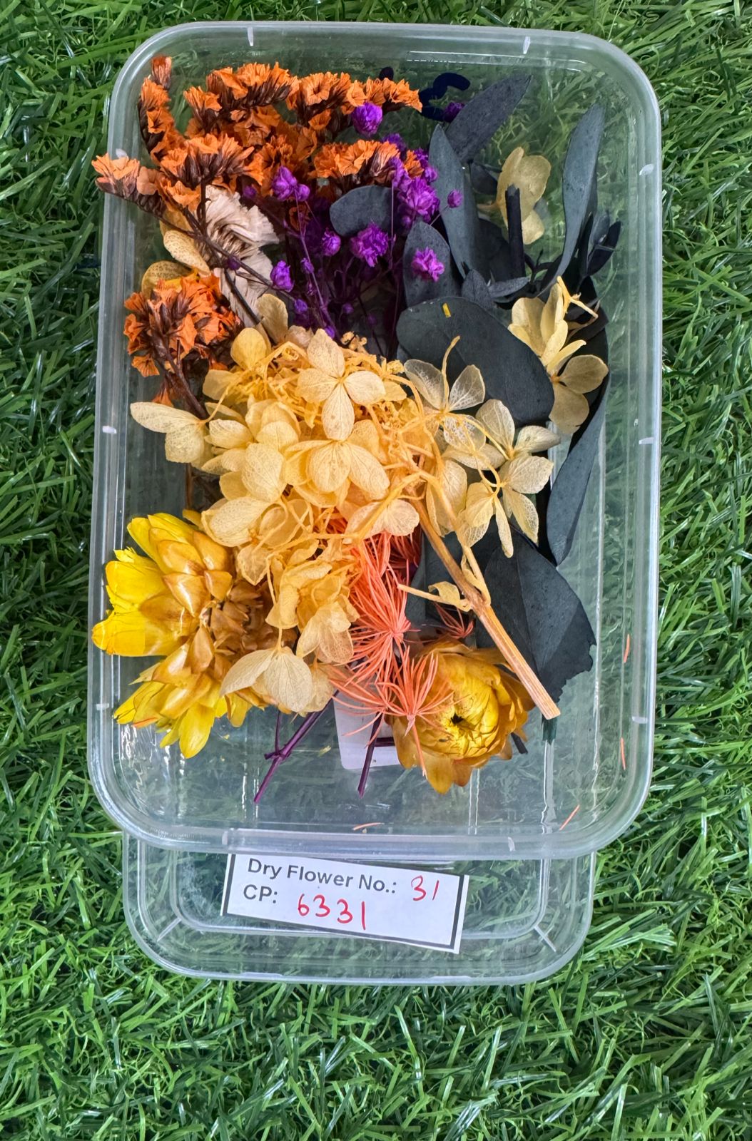 Dry Flower - Design - 31