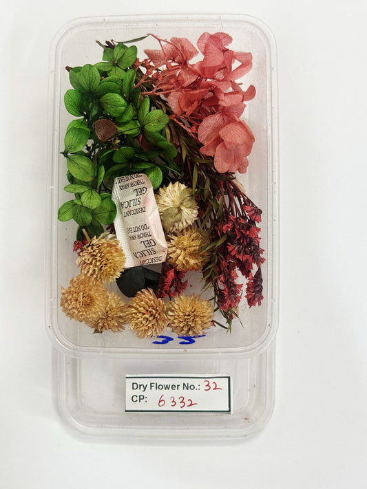 Dry Flower - Design - 32