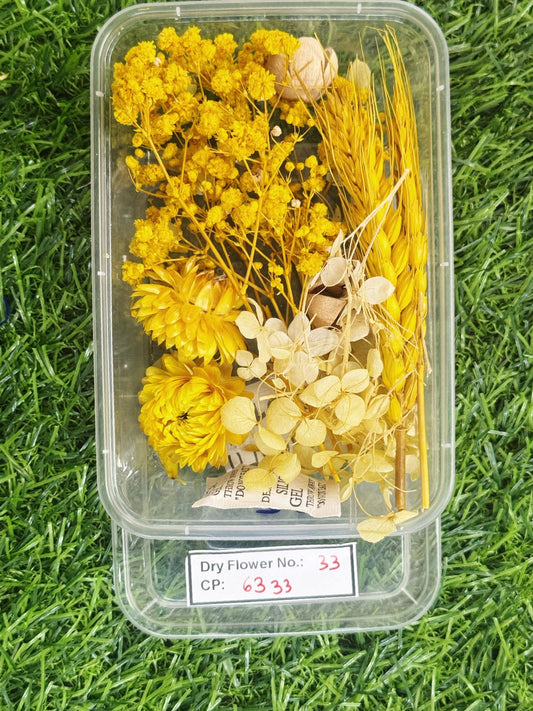Dry Flower - Design - 33