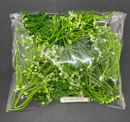 Artificial Grass- 1 pack - 100gm , Design -10