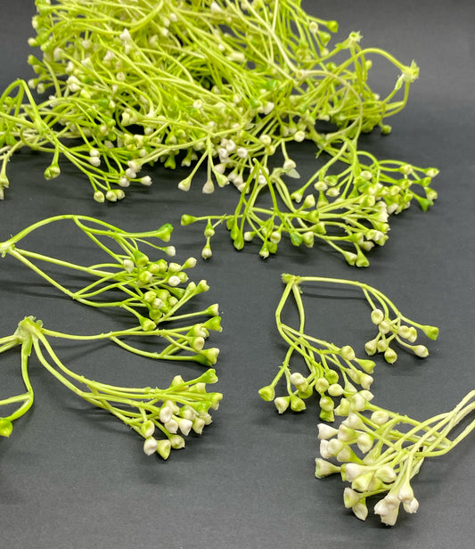 Artificial Grass- 1 pack - 125 gm , Design -20