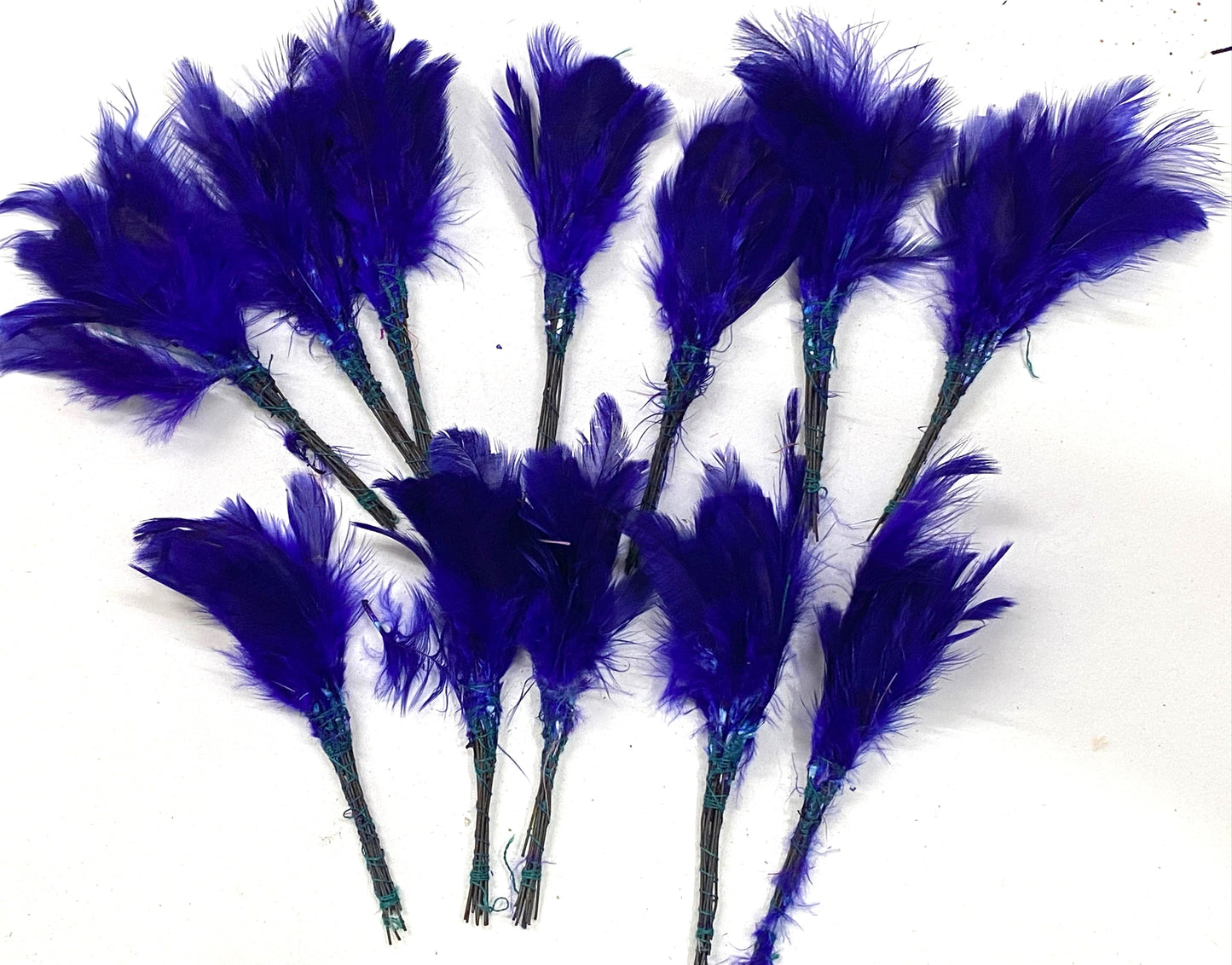 Soft Feathers- Blue Colour