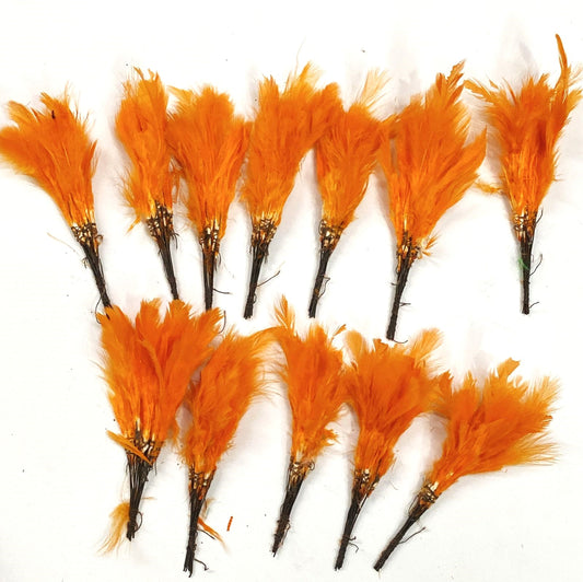 Soft Feathers- Orange Colour