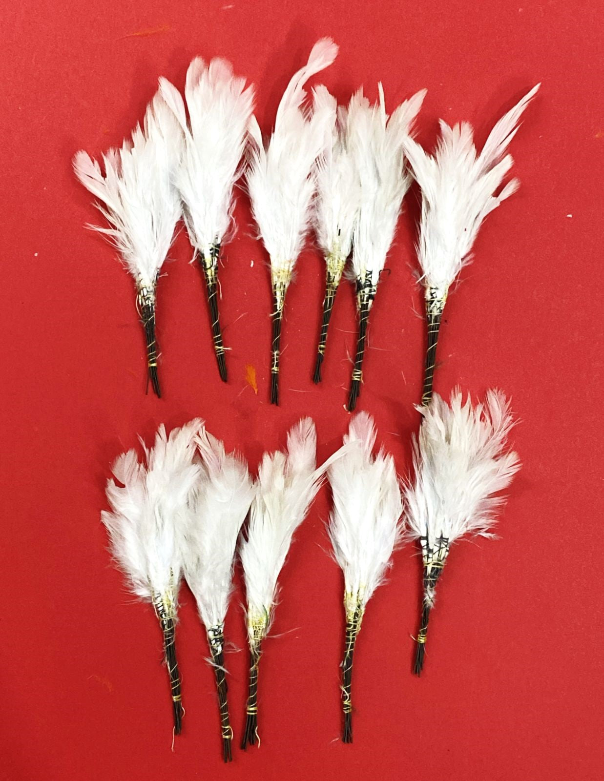 Soft Feathers- White Colour