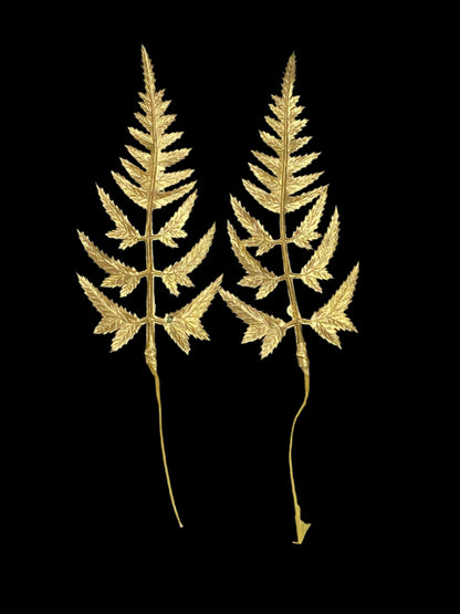Gold Leaves / Leaf , Design - 28