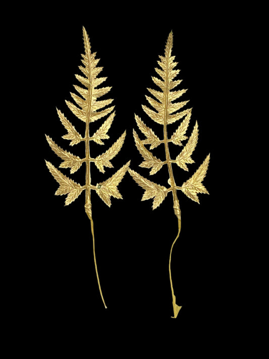 Gold Leaves / Leaf , Design - 28