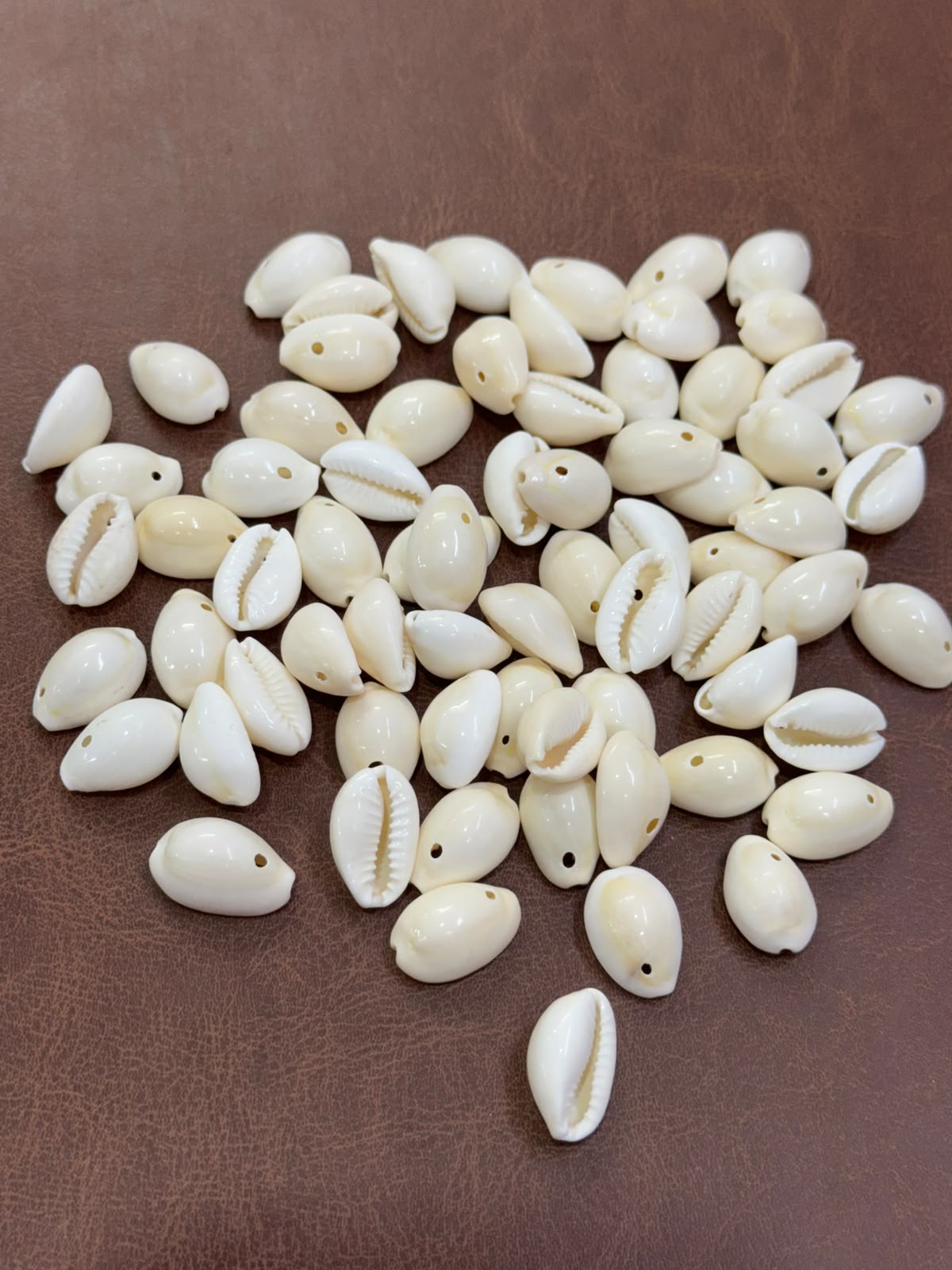 Kodi/Cowrie Shell