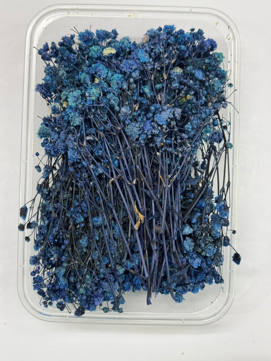 Dry Flower - Baby Breath - Blue- 1 box