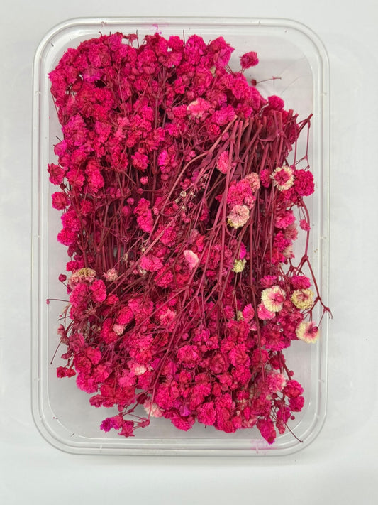Dry Flower - Baby Breath - Pink - 1 box