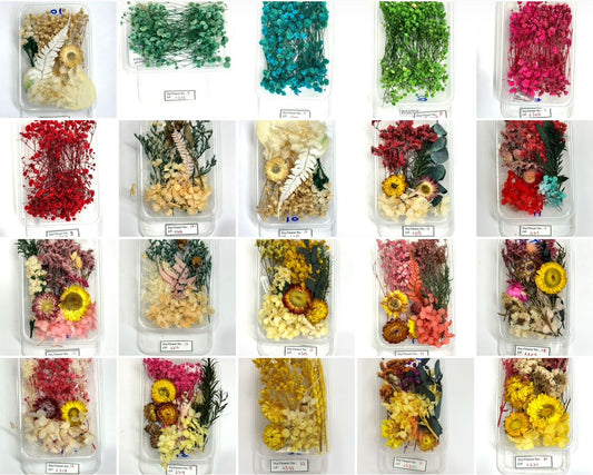 Dry Flower Combo - 10 boxes