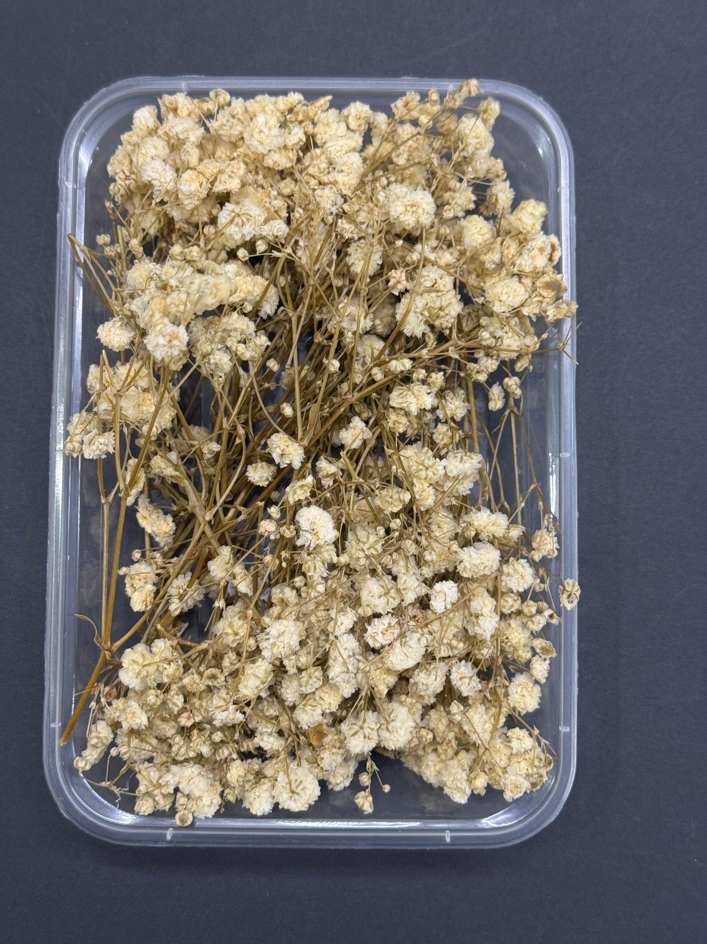 Dry Flower - Baby Breath - Off White - 1 box