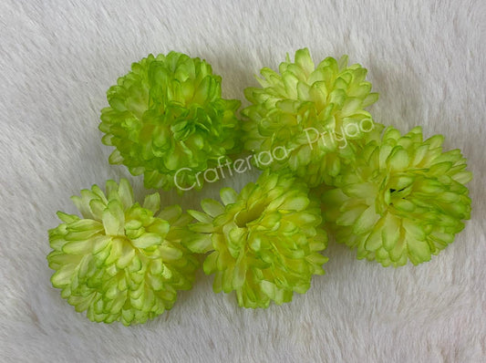 Mogra- 10 Pieces- Light Green D20